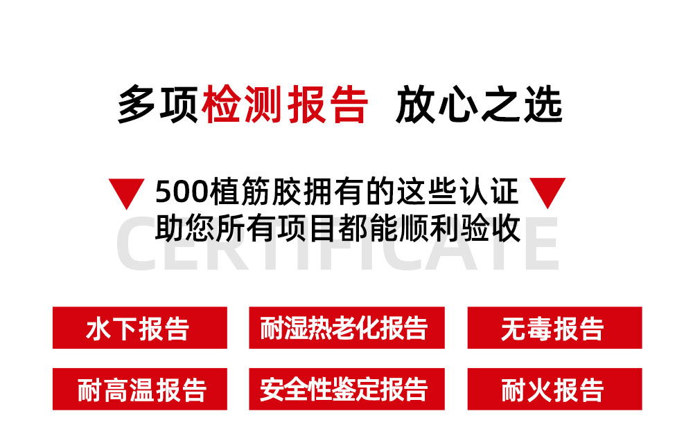 6、500植筋膠檢驗報告1